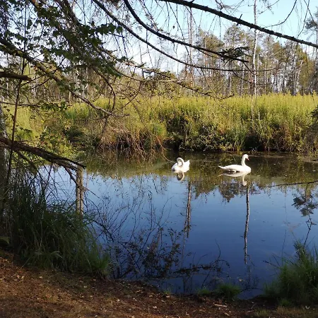 Loft Ueber Dem Bodensee Heiligenborn