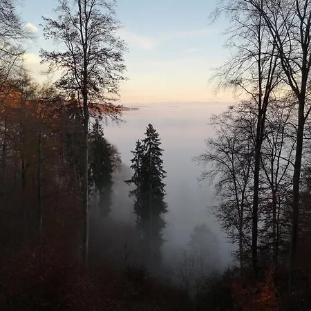 Loft Ueber Dem Bodensee Apartman