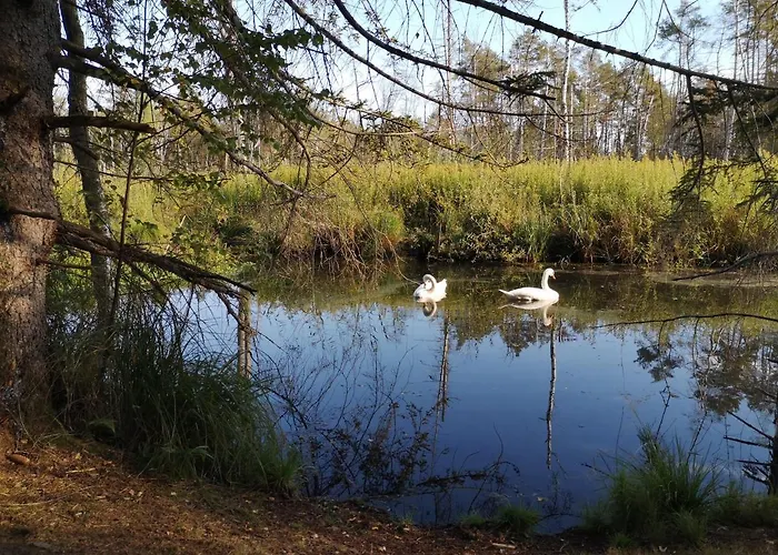Loft Ueber Dem Bodensee Heiligenborn
