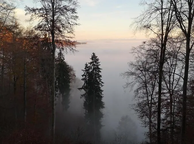 Loft Ueber Dem Bodensee Διαμέρισμα